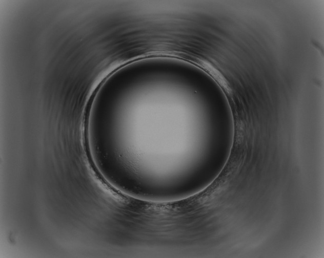 X0000093770955200710161239