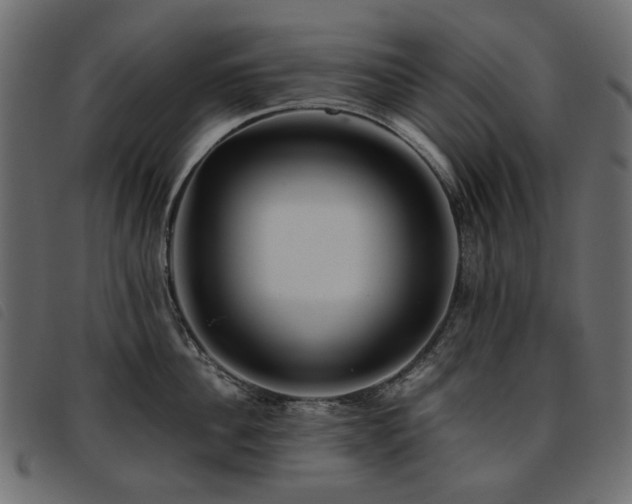 X0000093770956200710161239