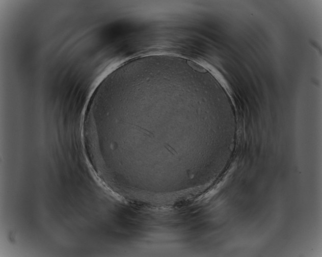 X0000093770957200710161239