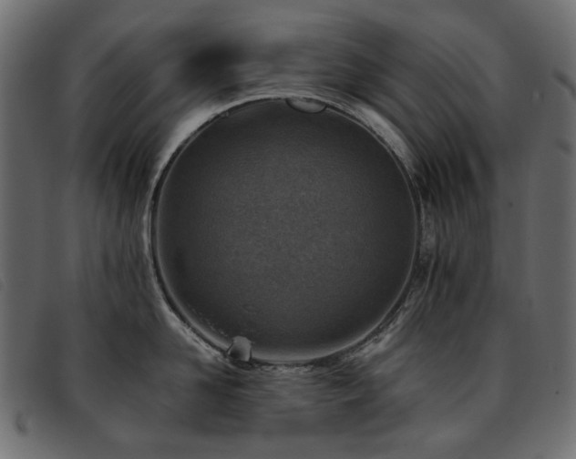 X0000093770958200710161239