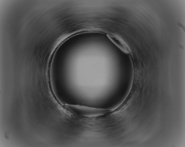 X0000093770959200710161239