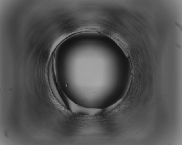 X0000093770960200710161239