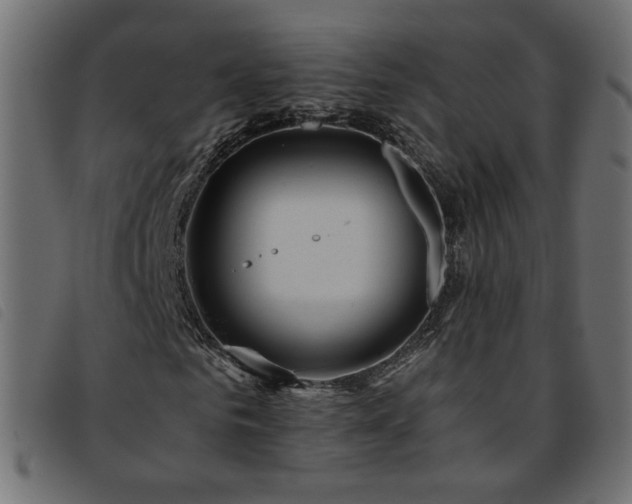 X0000093770961200710161239