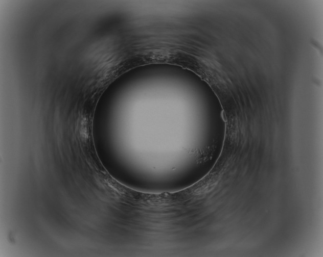 X0000093770962200710161239