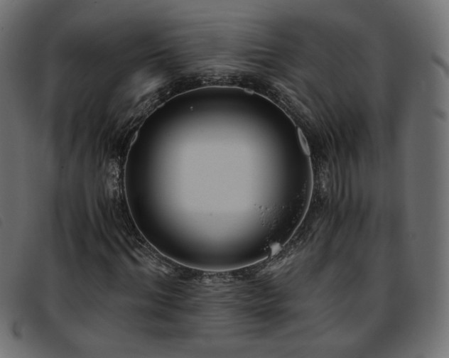 X0000093770964200710161239