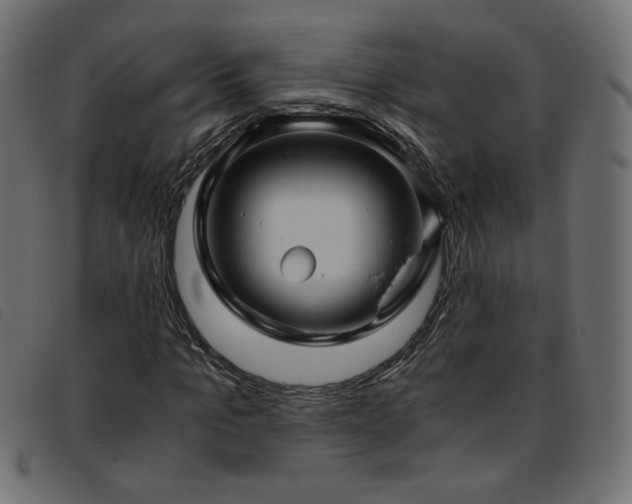X0000093770965200710161239