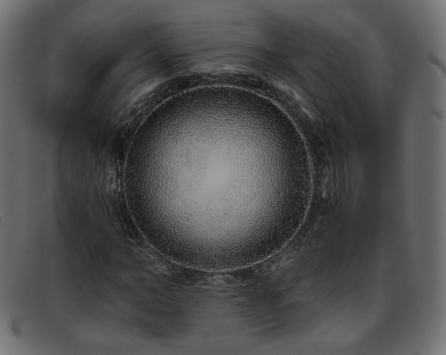 X0000093770966200710161239