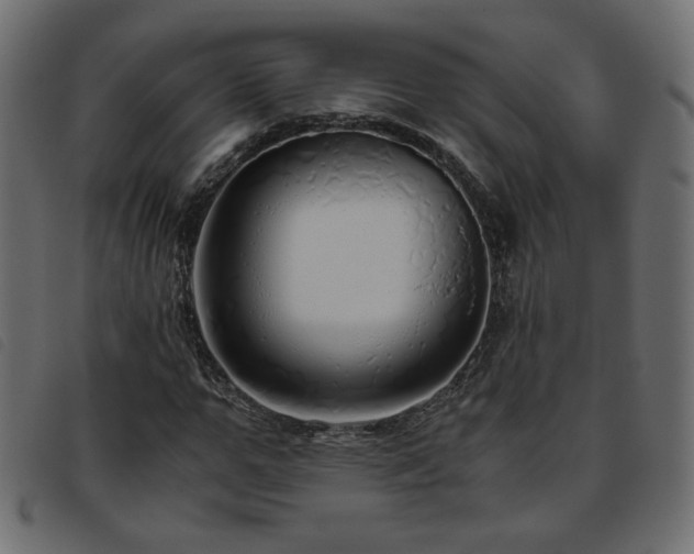 X0000093770967200710161239