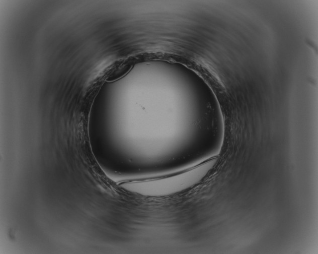 X0000093770968200710161239