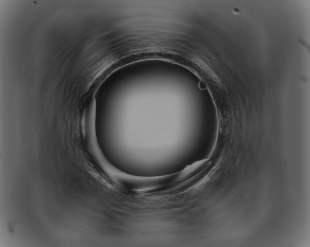 X0000093770969200710161239
