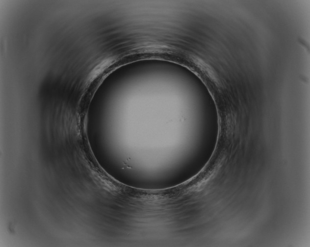 X0000093770970200710161239