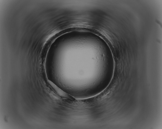 X0000093770971200710161239
