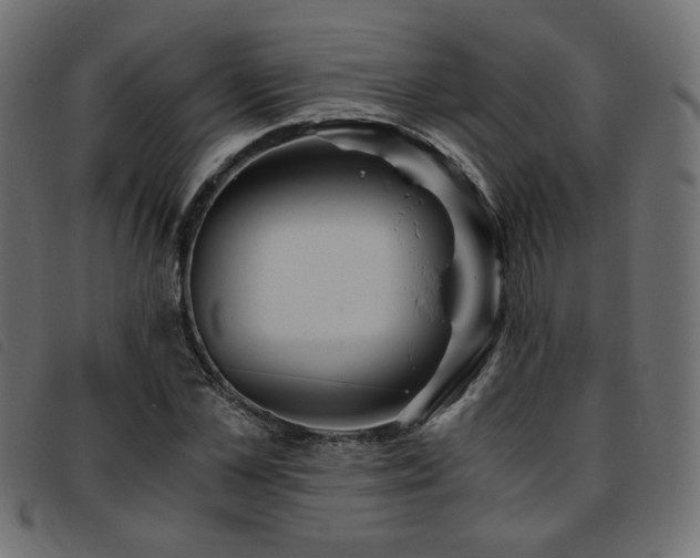 X0000093770973200710161239