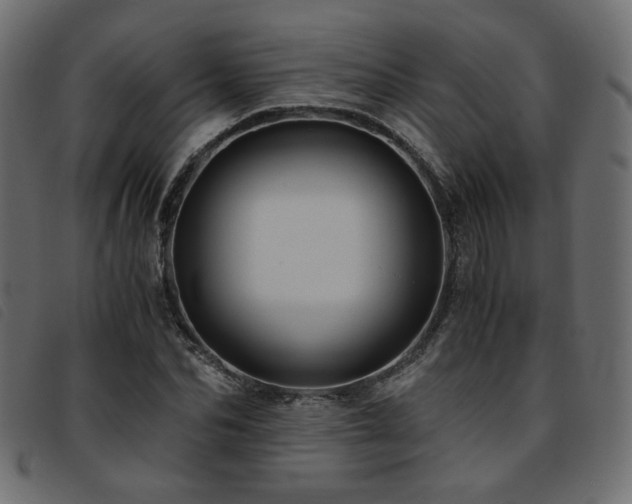 X0000093770974200710161239