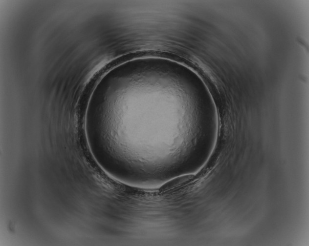 X0000093770975200710161239