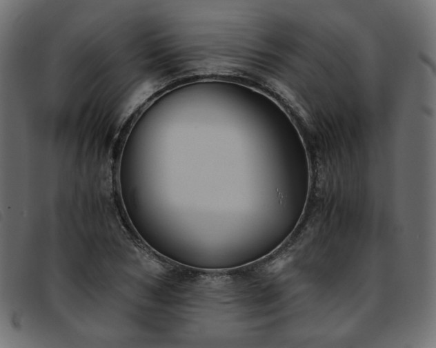 X0000093770978200710161238