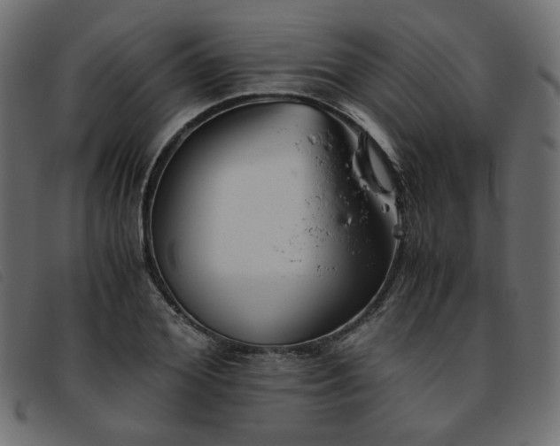 X0000093770980200710161238