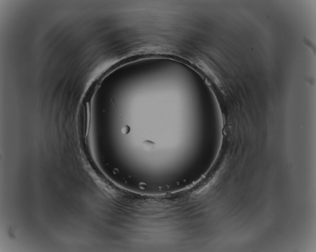 X0000093770981200710161238