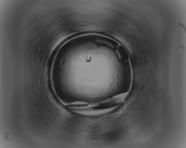 X0000093770983200710161238