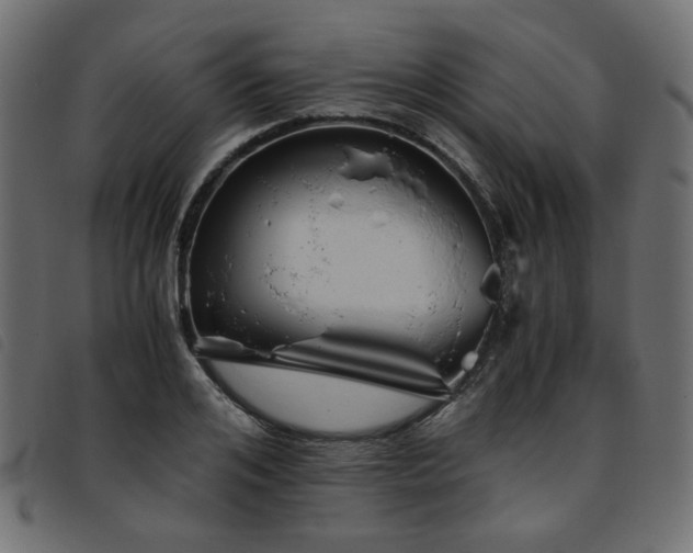 X0000093770984200710161238