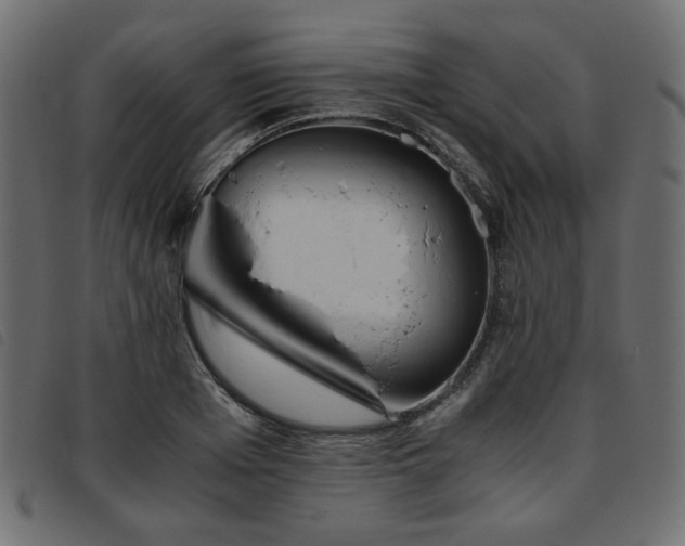 X0000093770985200710161238