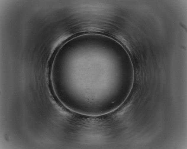 X0000093770987200710161238