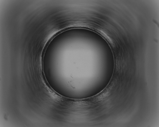 X0000093770988200710161238