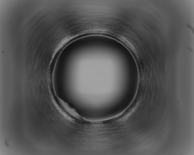 X0000093770989200710161238