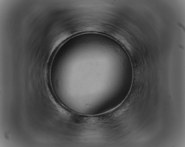 X0000093770991200710161238