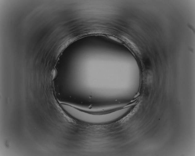 X0000093770993200710161238