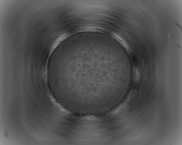 X0000093770994200710161238