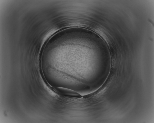 X0000093770995200710161238