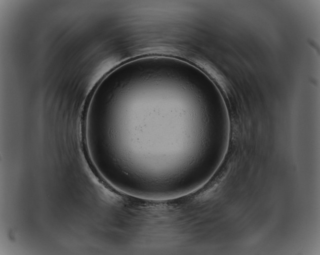 X0000093770999200710161238
