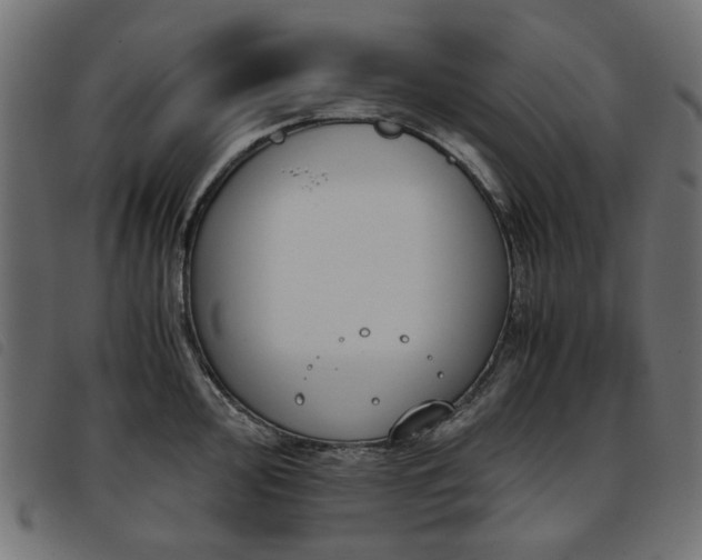 X0000093771000200710161238