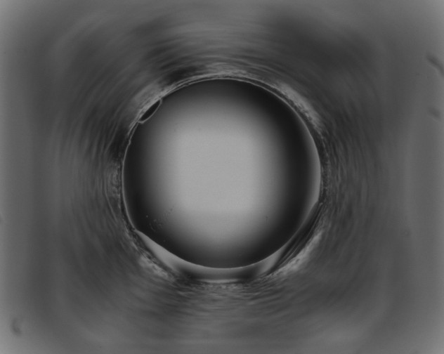 X0000093771001200710161238