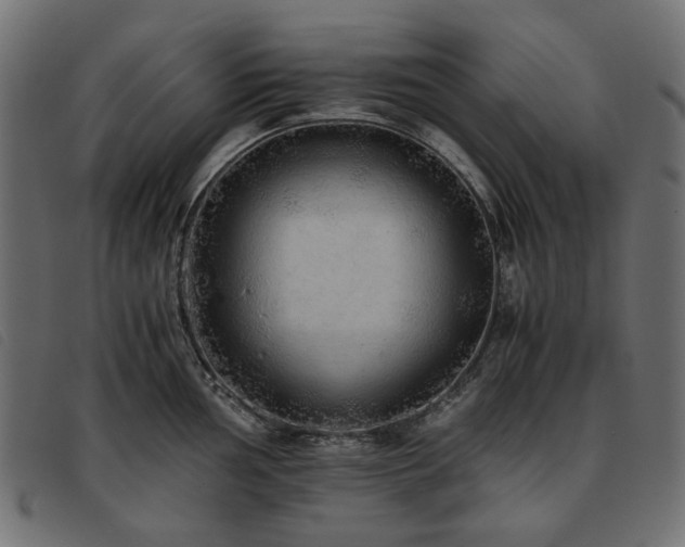 X0000093771002200710161238