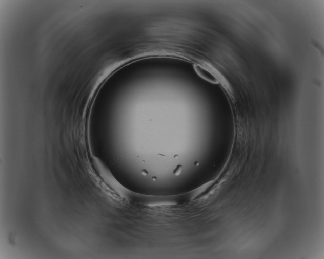 X0000093771004200710161238