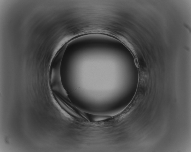 X0000093771005200710161238