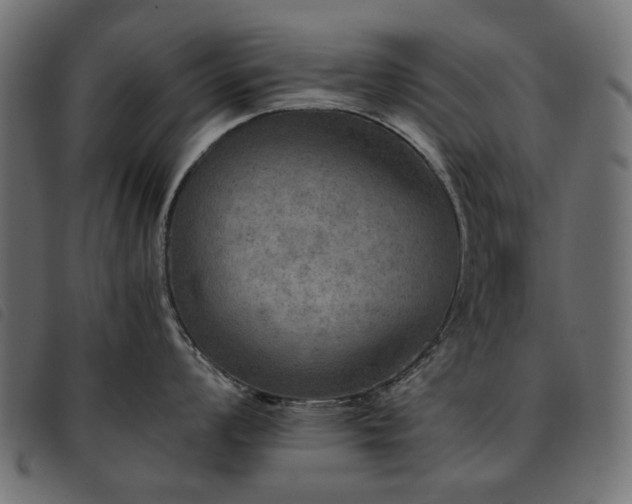 X0000093771008200710161238