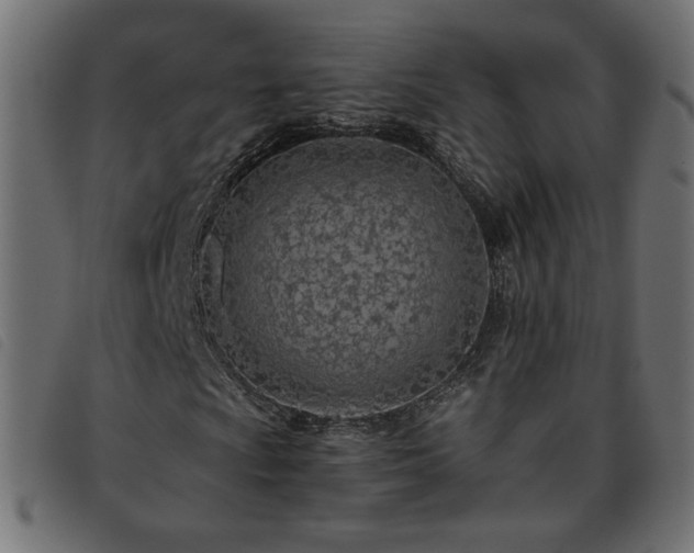 X0000093771009200710161238