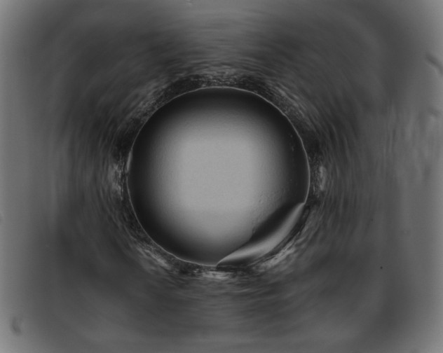 X0000093771010200710161238