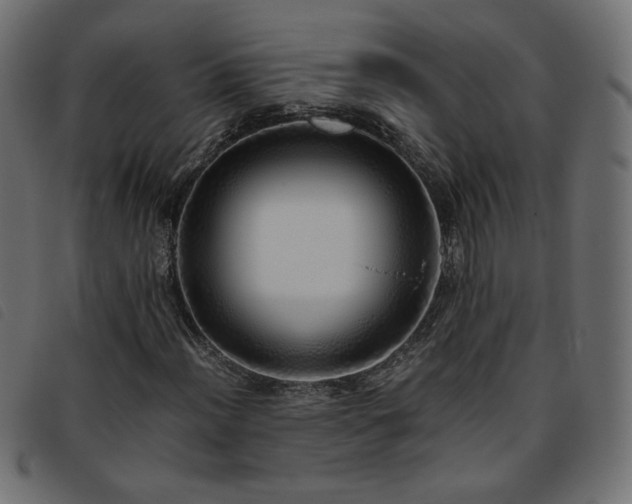 X0000093771012200710161238