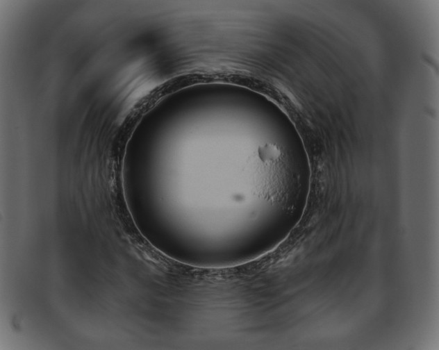 X0000093771016200710161238