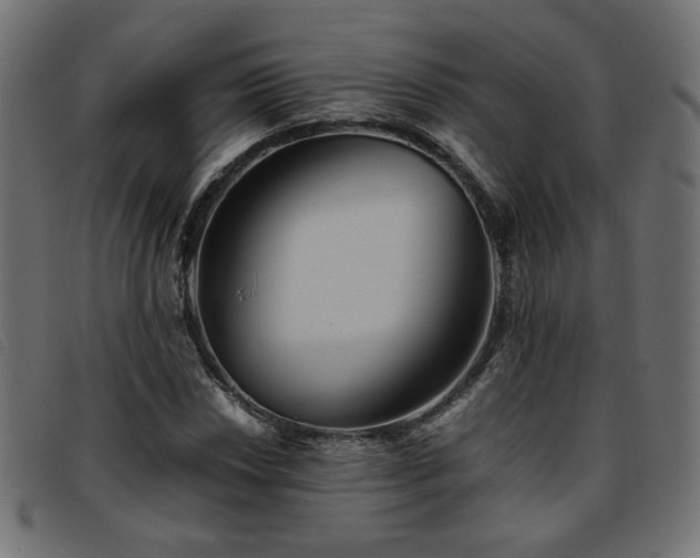 X0000093771018200710161238