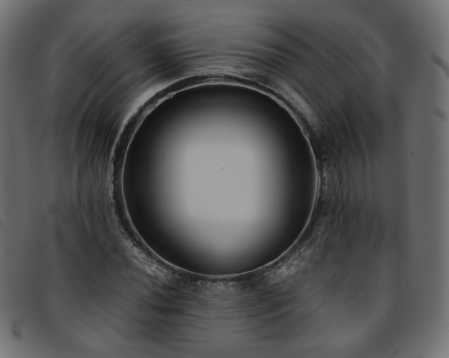 X0000093771020200710161238
