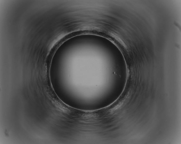 X0000093771021200710161238