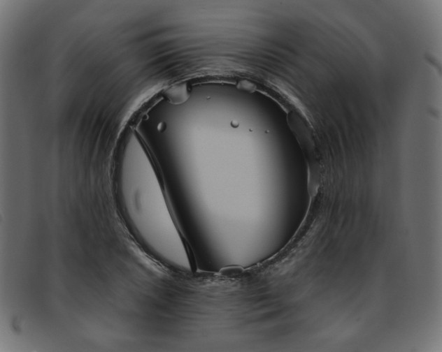 X0000093771026200710161238