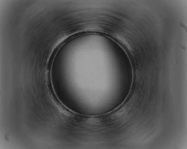 X0000093771029200710161238