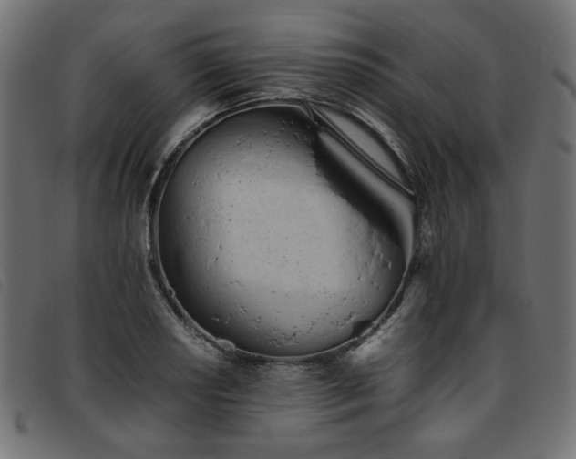X0000093771034200710161238