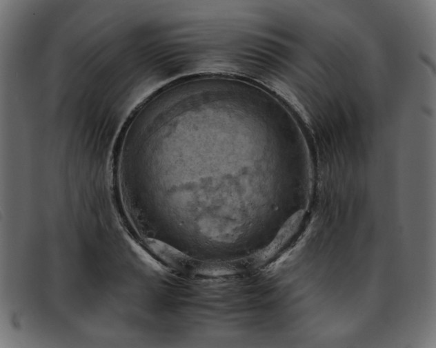 X0000093771037200710161238